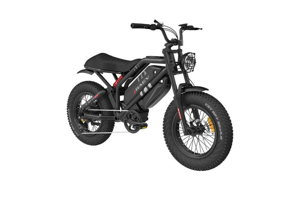 2wd electric bicycle Ai-Rides NYC: ONYX CTY2 Electric Bicycle