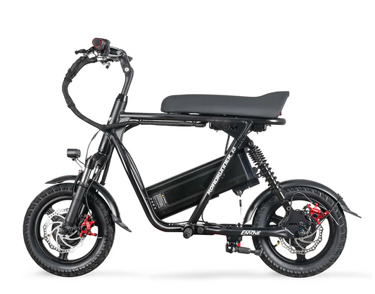 Voro Motors Emove Roadrunner v3