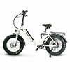 Jupiter Defiant ST Fat Tire Folding Electric Bike