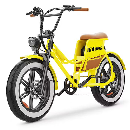 iENYRID Hidoes C8 Fat Tire Step Through Electric Bike