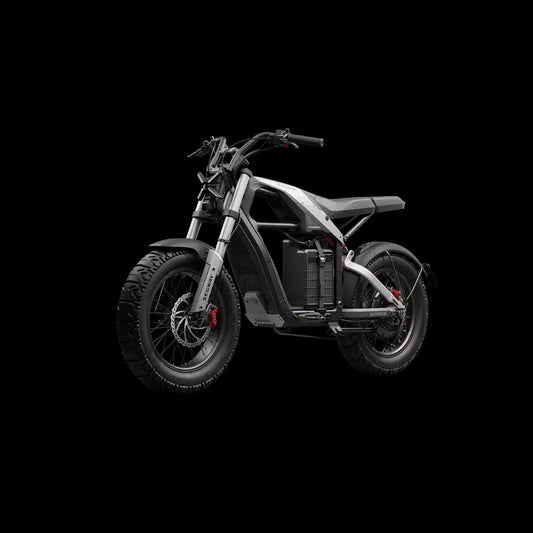 Segway Xyber E Bike