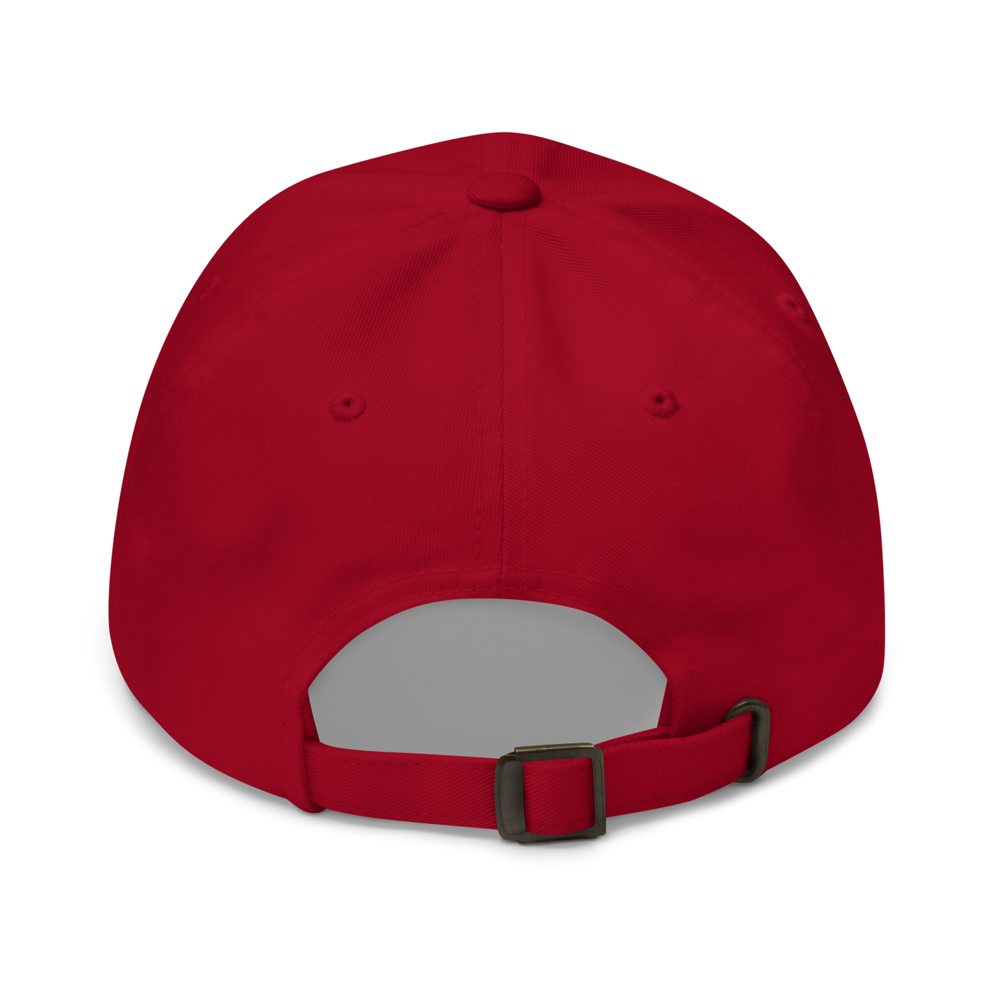 Ai-Rides Dad Hat