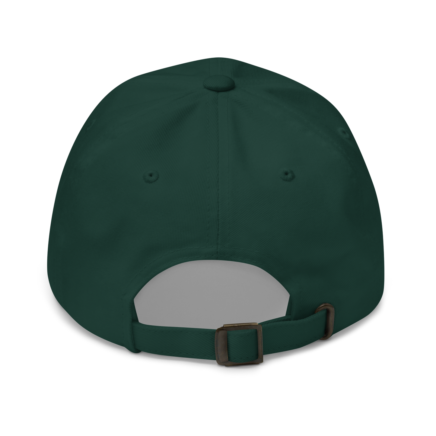 Ai-Rides Dad Hat